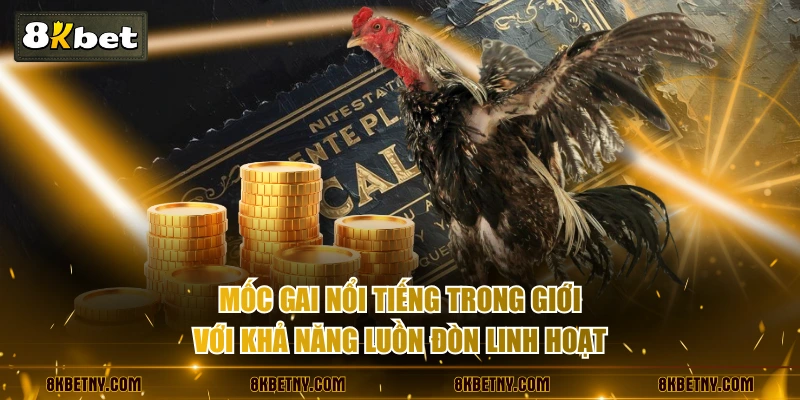 Mốc Gai nổi tiếng trong giới với khả năng luồn đòn linh hoạt